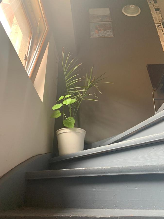 Trakia Street Apartment بلوفديف المظهر الخارجي الصورة